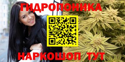 наркотики Бийск