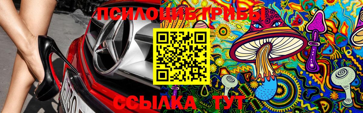 Псилоцибиновые грибы GOLDEN TEACHER  Псилоцибиновые грибы прущие грибы  купить наркотики сайты  Воркута 