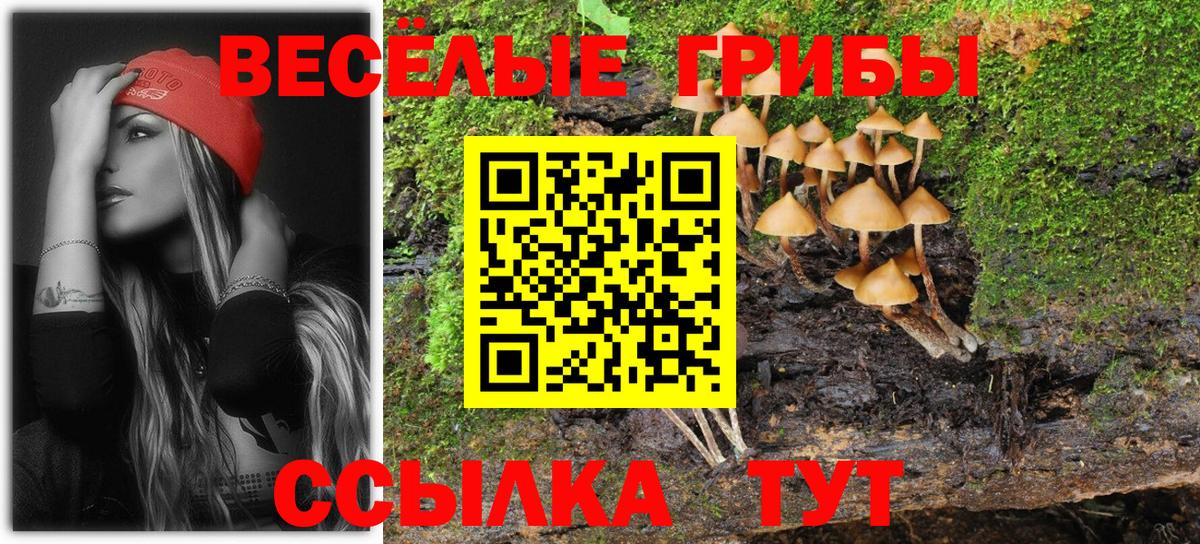 Галлюциногенные грибы GOLDEN TEACHER Воркута
