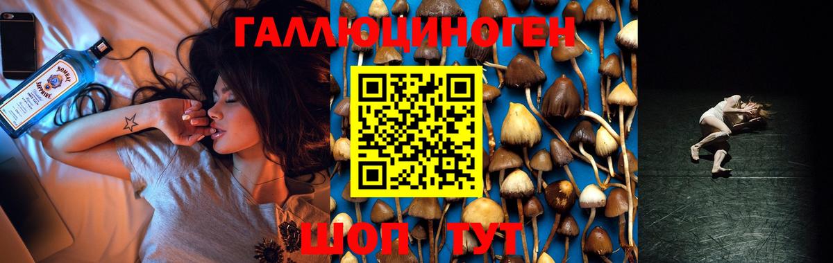 Воркута  Псилоцибиновые грибы Cubensis  Вход с VPN  Галлюциногенные грибы Cubensis 